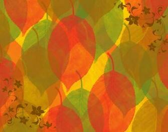 Related Pictures Fall Colors HD Wallpaper