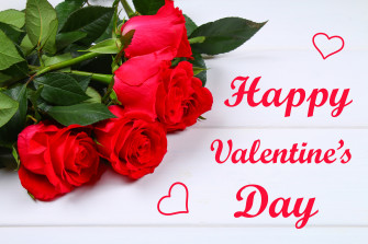 Red Flower Rose Happy Valentine S Day Holiday Wallpaper