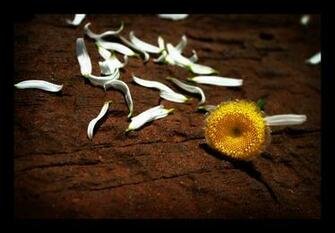 Voc Insiste Em Fingir Que Est Tudo Bem Enquanto Seu Amor Desmorona