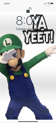 Dis My Wallpaper Lol Yeet