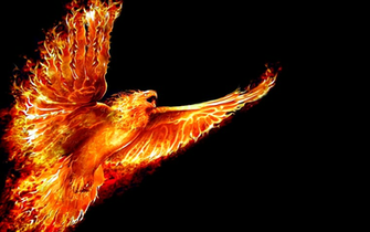 Fire Phoenix Wallpaper Black Background