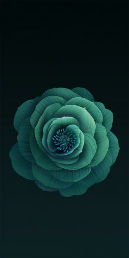 Xiaomi Wallpaper Top Background