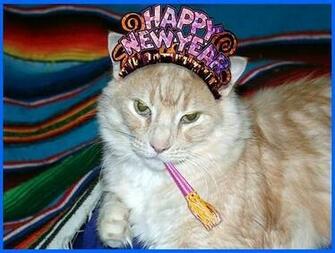 New Year Animals Wallpaper HD Background