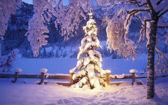 Winter Snow Scenes Wallpaper Sf