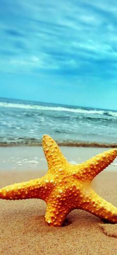 Background HD Wallpaper