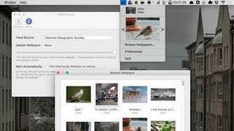Wallpaper Wednesday For Mac Automatically S Beautiful Image