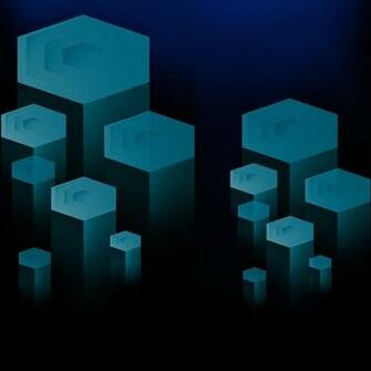 Charlotte Hornets Inaugural Web Presence On