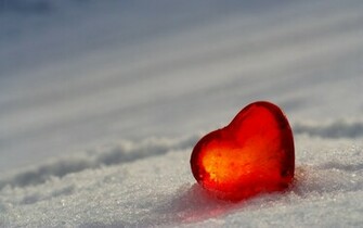 Beautiful And Romantic Valentine S Day HD Wallpaper