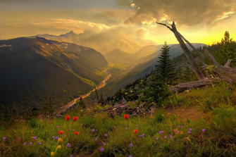 Washington State Wallpaper The Desktop