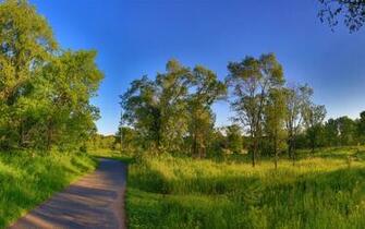 Park Through Minnesota Wallpaper Nature