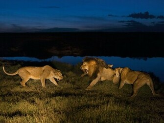 Photography Desktop Wallpaper National Geographic Magazine