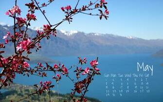 April Showers Bring May Flowers Wallpaper