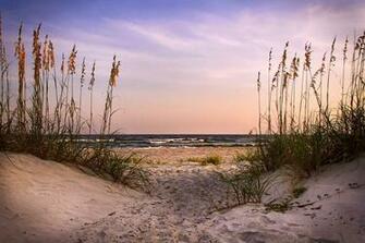 A Weekend Guide To Tybee Island The City Sidewalks