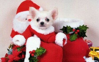 Cute Christmas Background Wallpaper Pictures Pics Photos