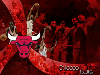 Chicago Bulls Team Medium Wallpaper