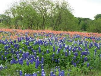 Cozy In Texas Spring