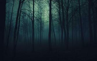 HD Wallpaper Gloomy Twilight Wood Forest Trees Fog Haze