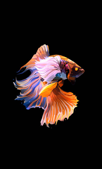 Colorful Siamese Fighting Fish iPhone Wallpaper