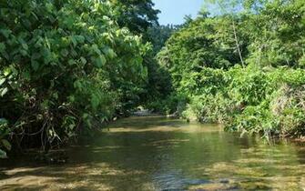Background Nature River Wallpaper For Desktop Background HD