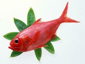 Red Fish Wallpaper