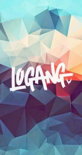 Logang Beamaverick Team Logan Maverick