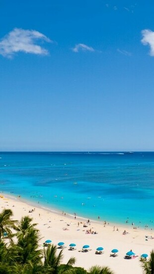 Waikiki Beach And Pacific Ocean iPhone 5s Wallpaper