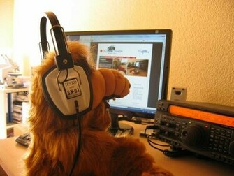 Alf Wallpaper On Windows Starter Please