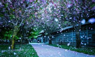 Mississauga Kariya Park Canada Wide HD Paisajes