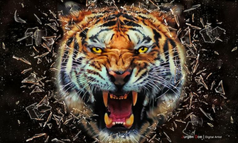 Angry Tiger By Jurgen Doelle Photoshop Creative
