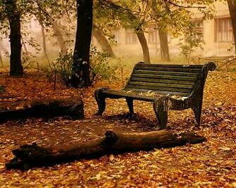 Autumn Wallpaper