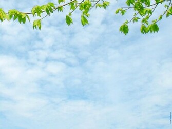 Sky Nature Background Wallpaper Powerpoint Jpg