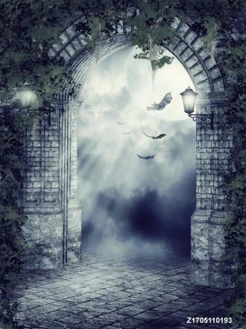 Life Magic Box Vinyl Retro Photoshoot Background Door Photo