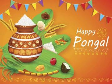 Happy Pongal Image Wishes Messages Quotes Cards