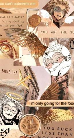 Skateboarding Hawks Aesthetic Wallpaper