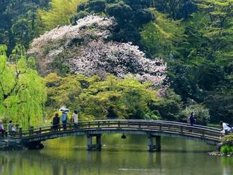 Shinjuku Gyoen Wallpaper Maniac