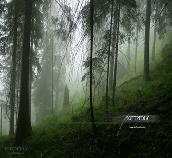 Wallpaper Will Bring The Look And Feel Of Rain On Your Desktop