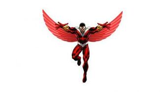 Falcon HD Wallpaper Background Image Id