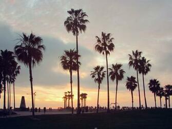 Venice Beach Wallpaper On