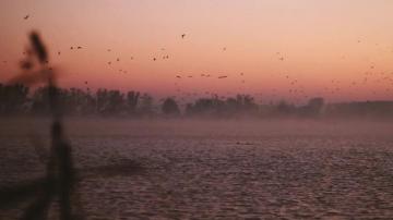 And Premium Website Background Videos Bg Stock