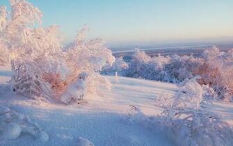 Amazing Winter East Russian Weather Wallpaper