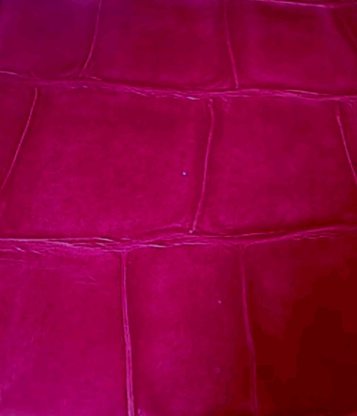 Noctem Whimsical Toile De Joi Hot Pink And Silver Stripes