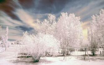 Winter Swing Original Wallpaper HD