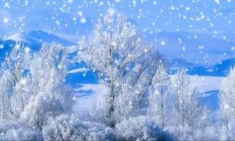 Falling Snow Wallpaper
