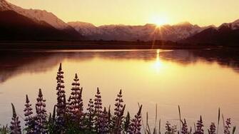 Peaceful Scenery Wallpaper World