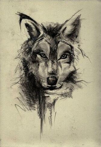 Wolf Face Sketch Art Wallpaper 3d iPhone