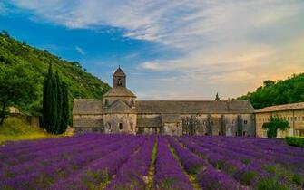 Wallpaper Monastery France Senanque Abbey Fields Lavandula