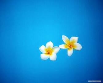 Travel Wallpaper Bali Index
