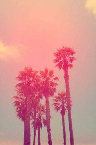Hipster Phone Background Samsun Galaxy S5 Mini Galaxys5mini