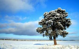 Winter Snow Scenes Wallpaper HD