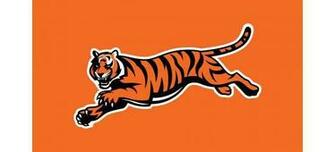 Bengals Wallpaper